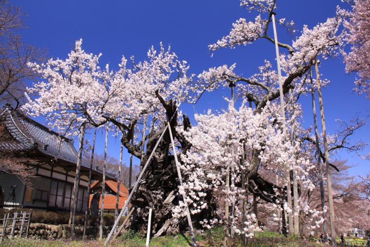Jissoji（Hokuto city／Yamanshi）